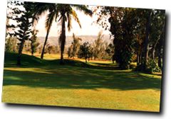 golf